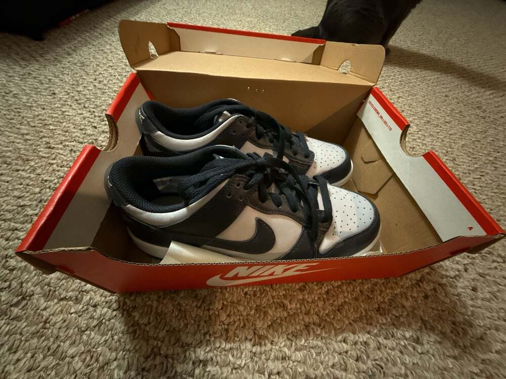 Nike Dunk Low GS Wolf Grey/Dark Obsidian (CW1590-004)